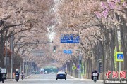亳州共建“花园城市” 北京这场议政会“百花齐放”