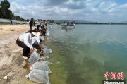亳州云南江川举行增殖放流活动 逾54万尾鱼游入星云湖